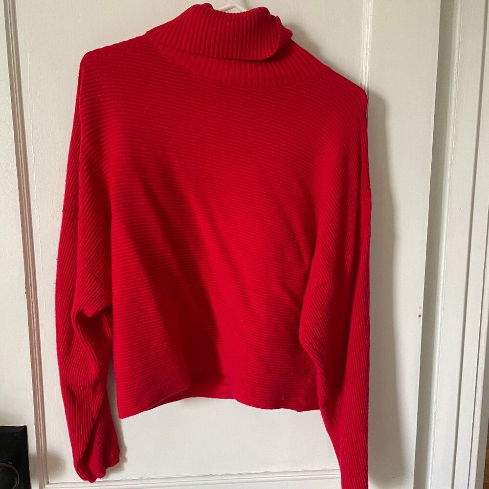Mint Velvet Turtleneck Sweater